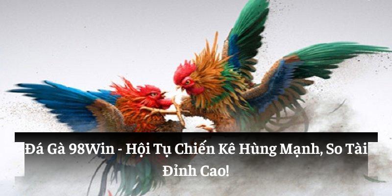 Đá gà 98win hội tụ chiến kê hùng mạnh so tài đỉnh cao