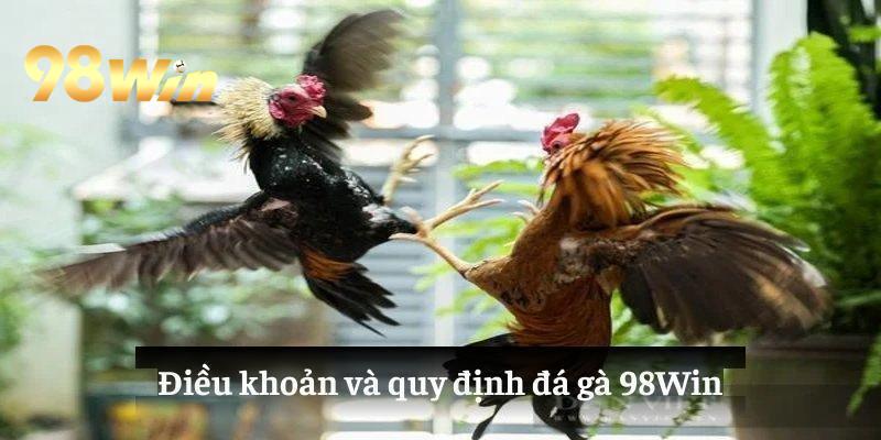 Mẹo thắng lớn khi chơi đá gà 98Win